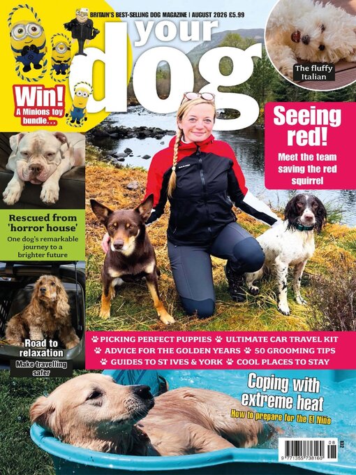 Cover image for Your Dog